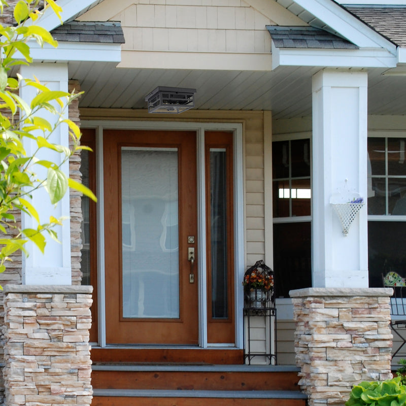 2-Light Motion Sensor Dusk to Dawn Outdoor Flush Mount Ceiling Light