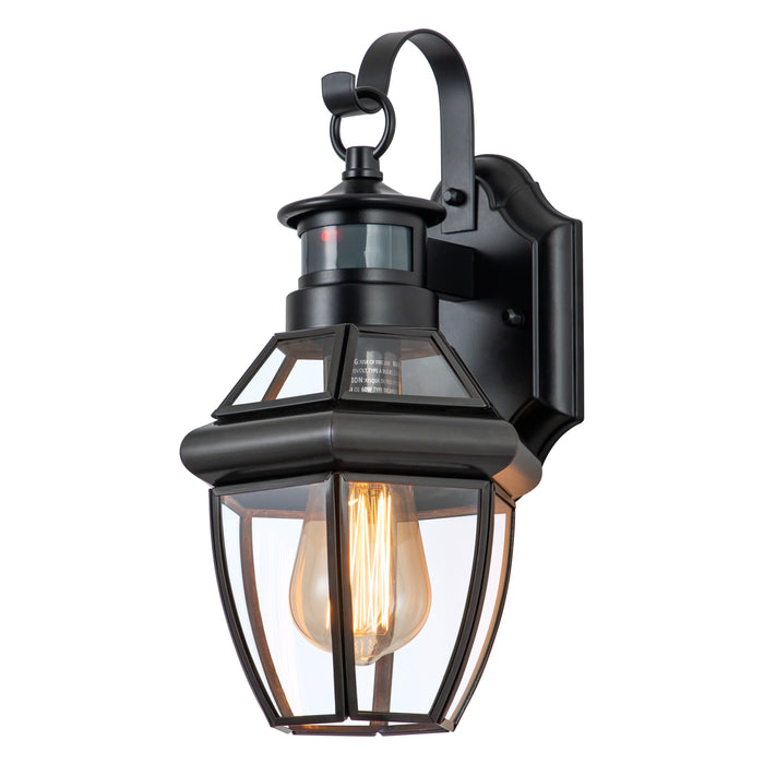 1-Light Black Finisih Metal and Brass Motion Sensing Dusk to Dawn Outdoor Wall Lantern with Tempered Clear Glass Shade