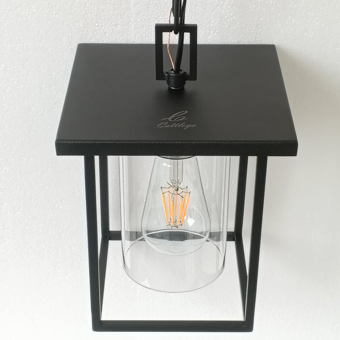 C Cattleya 1 Light 7" Matte Black Clear Glass Pendant Light