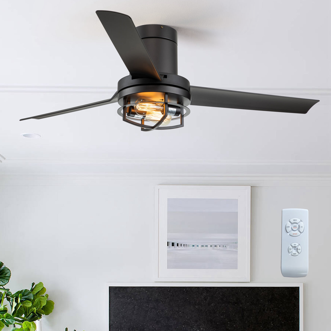 Ceiling Fans