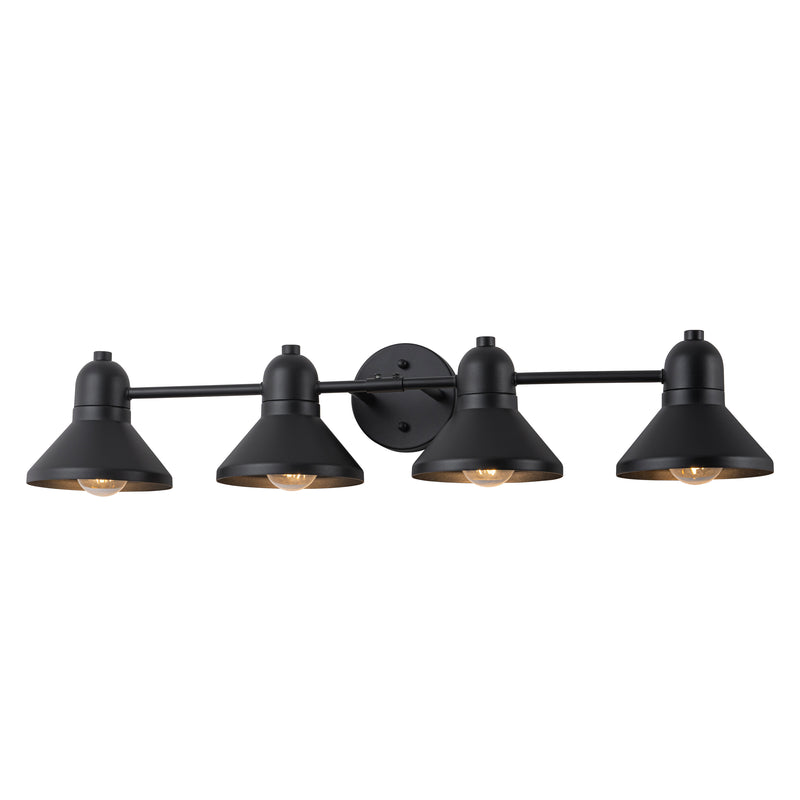 40.5 in. 5-Light Powder-coated Black Vanity Light Fixture