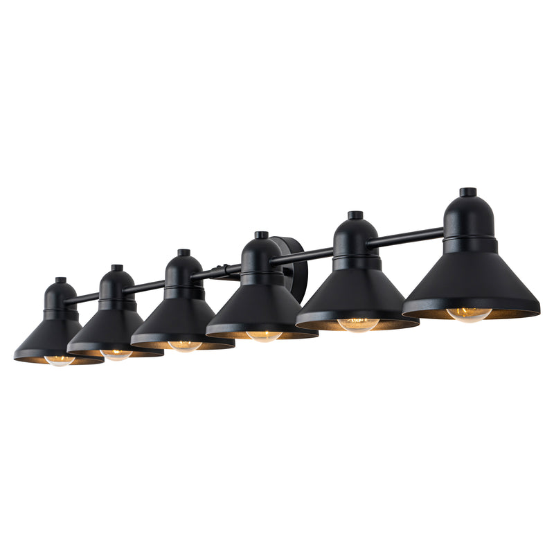 49 in. 6-Light Powder-coated Black Vanity Light Fixture