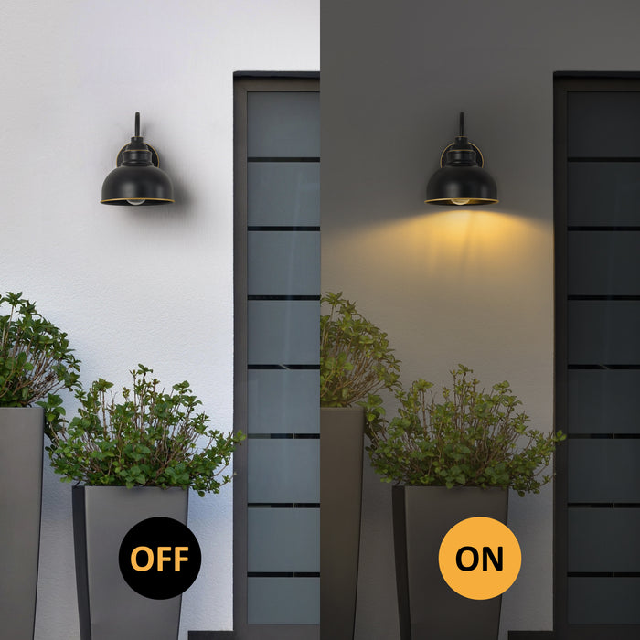 9.75 in. Black Outdoor Barn Light with Gold Line Accent