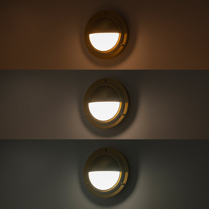 Integrated LED 3CCT Brushed Gold Wall Sconce with Frosted Glass