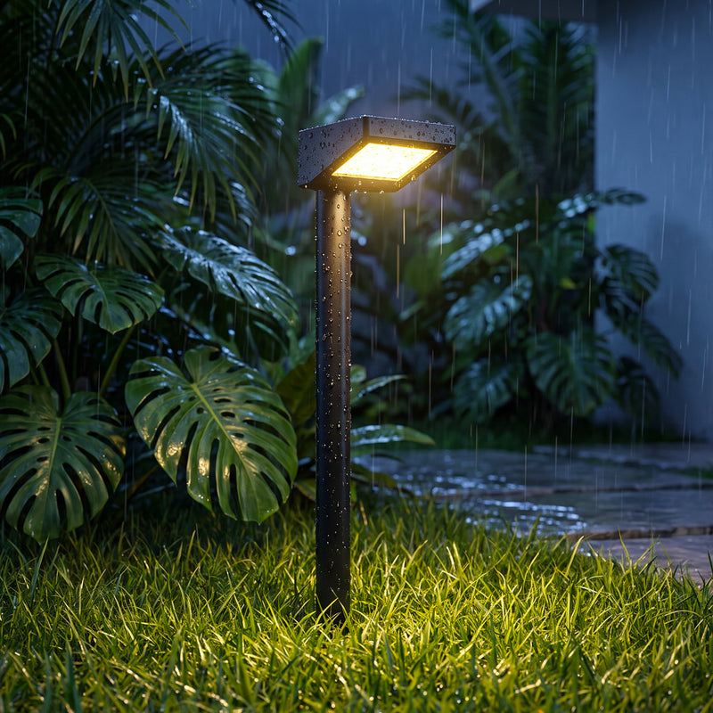C Cattleya 19.25-Inch Black Integrated LED Outdoor Solar Landscape Path Light,3000K Warm White (12-Pack)  0 out of 5 stars be the first!