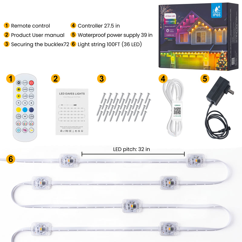 C Cattleya 100FT Permanent Outdoor Light with APP/Remote Control,RGB & IC LED String Light for House