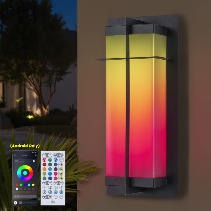 C Cattleya Matte Black RGB Outdoor Wall Sconce Light with Acrylic Shade