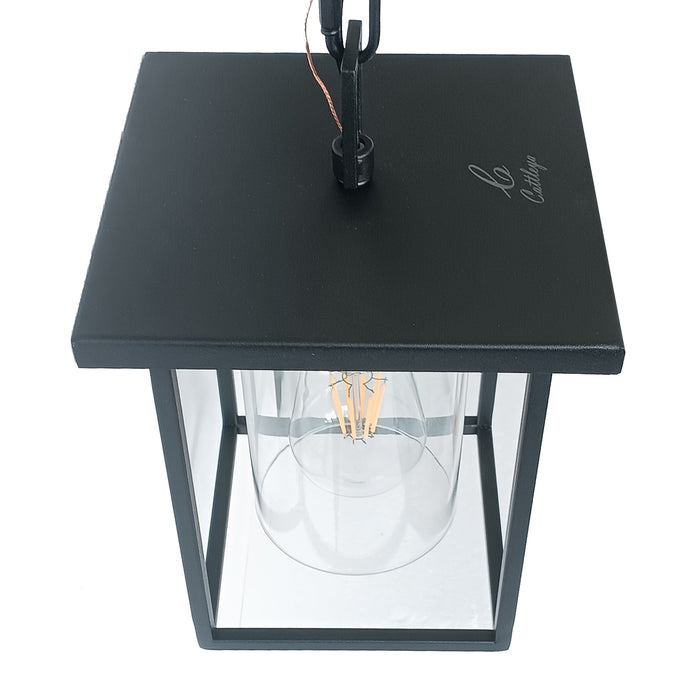 C Cattleya 1 Light 7" Matte Black Clear Glass Pendant Light