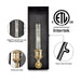 Cattleya Lighting outdoor wall light 1-Light Dark Bronze Finish Brass Outdoor Wall Lantern Sconce With Tempered Clear Glass 792966277854