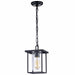 cattleyalighting Hanging Lights 1 Light 7'' Black Painted Clear Glass Pendant Light