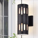 Cattleya Lighting outdoor wall light 11.75 in. 2-Light Black Die-Cast Aluminum Cylinder Outdoor Wall Sconce 708111932400