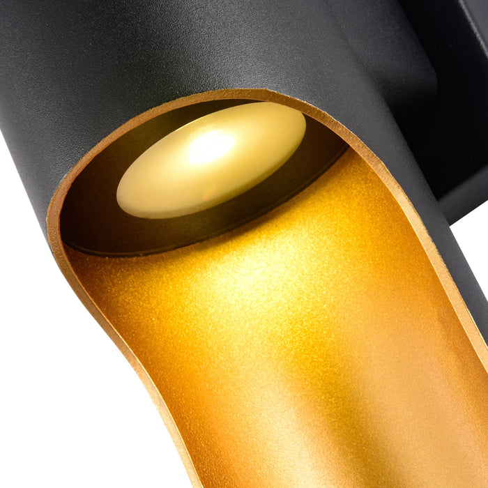 Cattleya Lighting Outdoor LED Wall Light 2-Light Black and Gold LED Outdoor Wall Sconce 708111932431