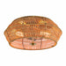 cattleyalighting 2-Light Natural Rattan Outdoor Flush Mount Ceiling Light