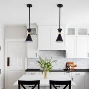 cattleyalighting 5.5 In. 1-Light Black Hanging Pendant Light With Brass Accents
