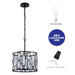 cattleyalighting 4-Light Black Hanging Pendant Light With Clear Crystal
