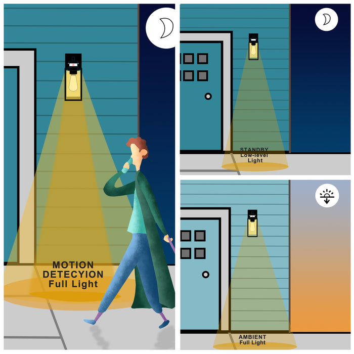 1-Light Matte Black Motion Sensing Dusk to Dawn Outdoor Wall Lanten with Clear Seeded Glass Cylinder